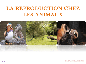 cours a La reproduction 2AC SVT