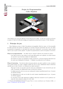 Projet Cube Mayhem: Programmation Java