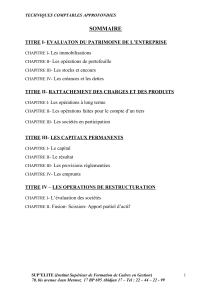 Techniques Comptables Approfondies : Cours Complet