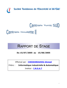 Rapport de stage en informatique industrielle