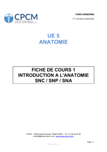 Introduction à l'anatomie : SNC, SNP, SNA - Fiche de cours