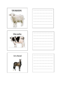 French Farm Animal Worksheet