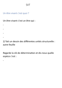 Exercice SVT : Qu'est-ce qu'un être vivant ?