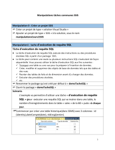 Tutoriel SSIS : Manipulations de tâches courantes