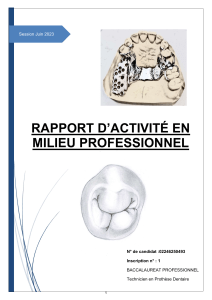 Rapport de stage prothèse dentaire - Bac Pro