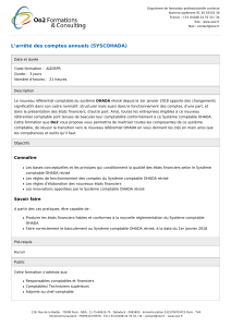 Arrêté des comptes annuels (SYSCOHADA) : Formation OHADA