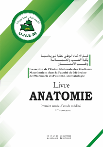 Cours d'Anatomie - Première Année de Médecine