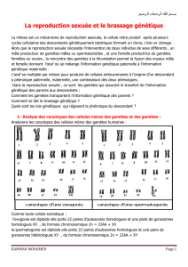 Reproduction sexuée et brassage génétique : Cours de biologie