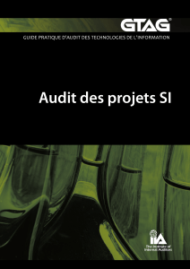 Audit des projets SI : Guide pratique