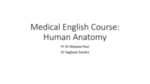 Human Anatomy Course: Medical English Presentation