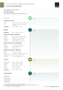 Fiche de Dégustation Champagne : Guide d'Analyse Sensorielle