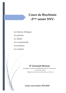 Cours de Biochimie - Liaisons, Glucides, Lipides, Protéines