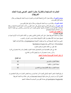 Fall Armyworm Monitoring in Tunisia: Experiment Report