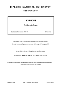 Examen Sciences DNB 2019 : Angine et Antibiotiques