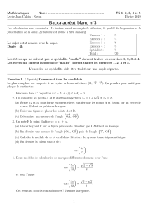 Examen Blanc Maths TS - Lycée Jean Calvin