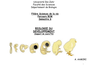 Biologie du développement : Annexes embryonnaires (Cours/TD)