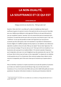 Non-dualité, Souffrance et Conscience: Analyse Philosophique