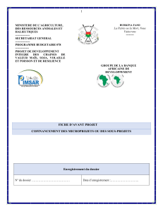 Fiche Avant-Projet PIMSAR Burkina Faso : Cofinancement Microprojets