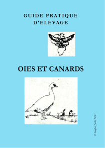 Guide d'élevage : Oies et Canards - Conseils pratiques