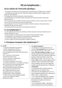 Lymphocytes T : Immunité Spécifique et Marqueurs