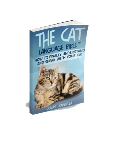 The Cat Language Bible: Understand Your Cat