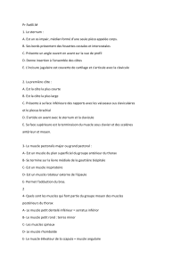 Examen d'anatomie : Thorax, C&oelig;ur, Pharynx