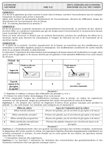 Reproduction chez les mammifères : Exercices Tle S2