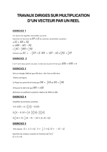 Exercices : Multiplication d'un vecteur par un réel