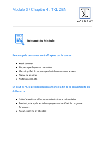 TKL ZEN : Résumé du module sur la stratégie d'investissement