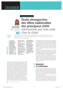 AINS chez le chien : &Eacute;tude r&eacute;trospective des effets ind&eacute;sirables