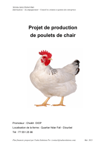 Plan financier : Production de poulets de chair à Diourbel