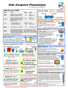 Aide d'Urgence Plasmatique : Guide d'Utilisation des GANS