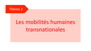 Tourisme et espaces : Mobilit&eacute;s humaines transnationales
