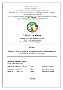 Salinité et Haricot : Étude de Germination et Croissance