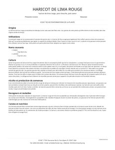 Haricot de Lima Rouge : Culture, Utilisation et Nutrition