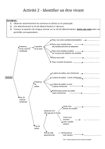 Clé de détermination des animaux : Exercice de biologie