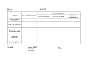 Electrical Authorization Form