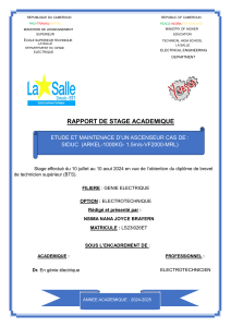 Rapport de Stage : Maintenance d'Ascenseur ARKEL-1000KG