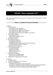 Plan Comptable OHADA 2017 : Guide des Comptes