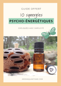 Guide Synergies Psycho-&Eacute;nerg&eacute;tiques Huiles Essentielles