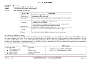 Nutrition minérale : Absorption de l'eau (2nde)