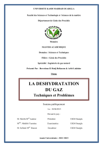 Déshydratation du gaz : Techniques et Problèmes - Mémoire de Master