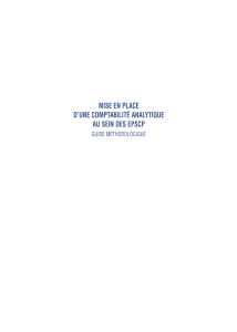 Comptabilité Analytique dans les Universités Françaises: Guide