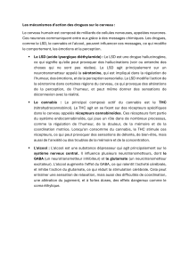 Drogues et cerveau : mécanismes d'action du LSD, cannabis, alcool