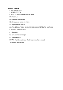 Rapport de stage : Hydrométallurgie à l'usine de Shituru