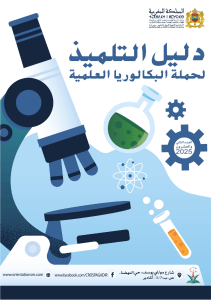 Guide Bac Scientifique 2025: Écoles et Filières