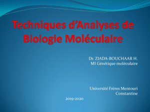 Extraction et purification du mat&eacute;riel g&eacute;n&eacute;tique : m&eacute;thodes