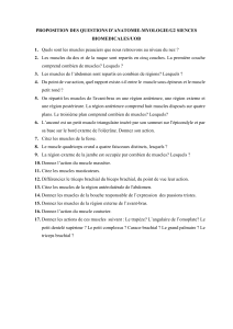 Questions d'Anatomie-Myologie : Sciences Biom&eacute;dicales