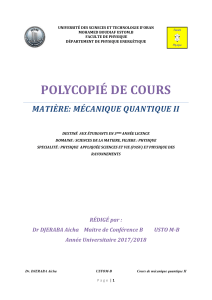 M&eacute;canique Quantique II : Cours pour Licence Physique
