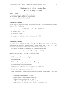 Examen: Martingales et Calcul Stochastique